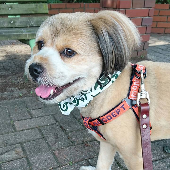 95b21804 8e55 43de 9e57 74354bf25cb3