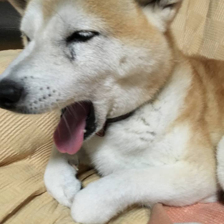 95b2d730 f7c7 44b2 8fb9 1d9991a22fef