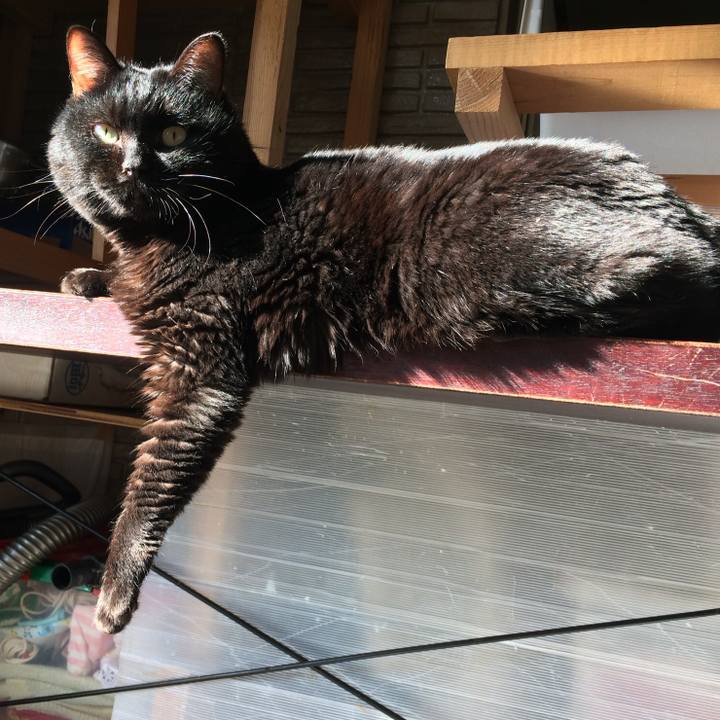 95b2fe45 a044 4599 9224 9597fe351198