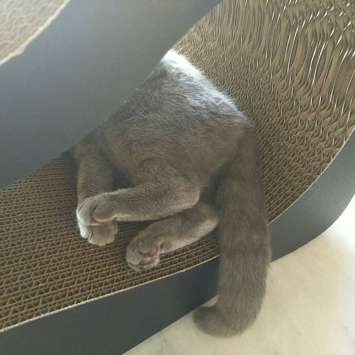 95b31be6 167f 49ea bd65 fb4a693e0d1a