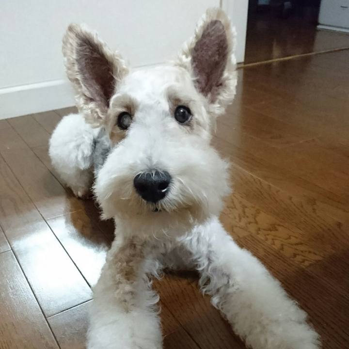 95b35d2e 05d0 47a4 af75 dc744f8ddeb6