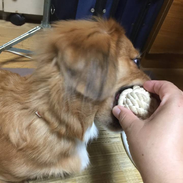 95b3a1d4 d35f 4148 a17d 8e8da3f34812