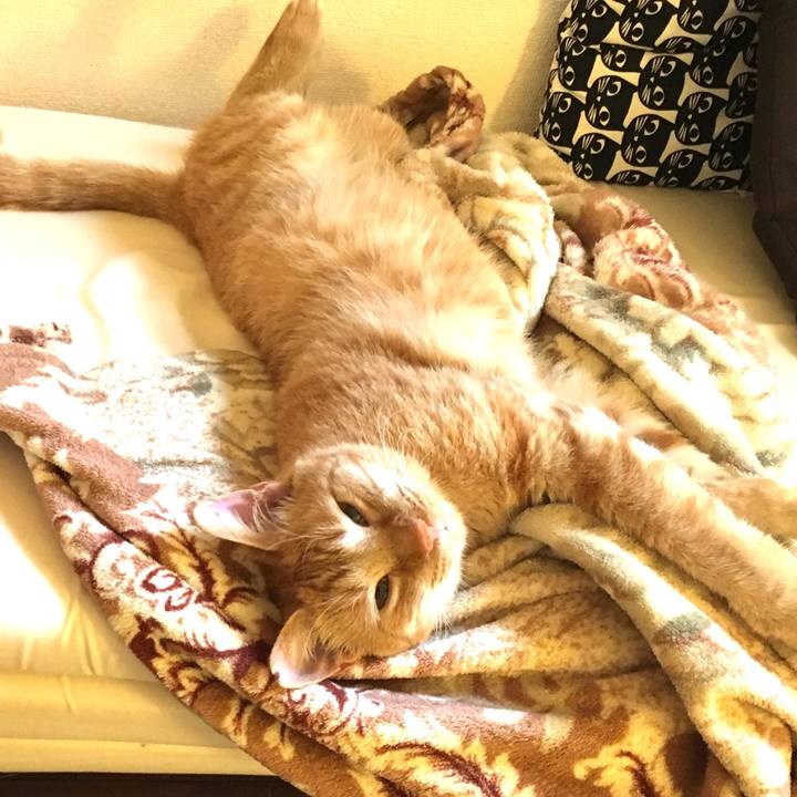 95b45326 5cd9 4b85 80d0 83dc2c4a1ca9