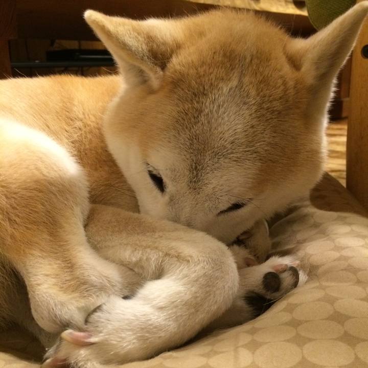 95b48205 80d6 4327 9460 5148bfff3e8d