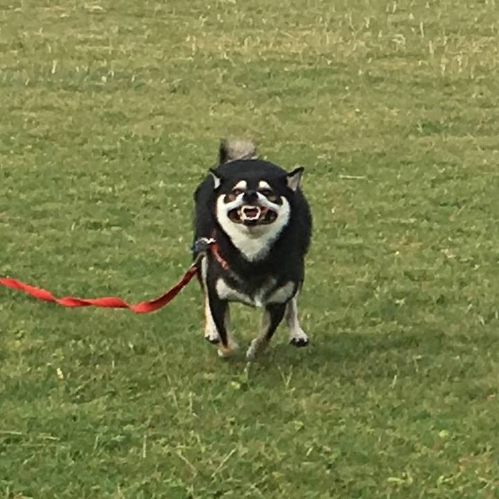 95b4e9fc bb9a 4ce5 8b12 6ab1fbf64548