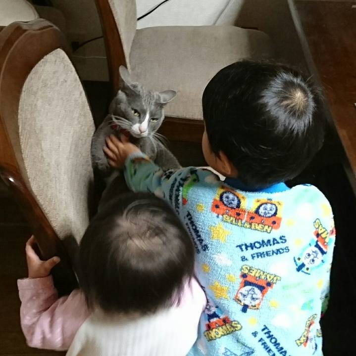 95b5e432 bf16 41d4 9783 30b07dd4b53e