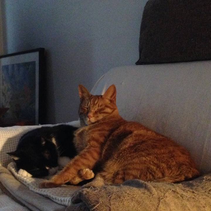 95b63736 0a8f 4b63 827b 467166d3bba1