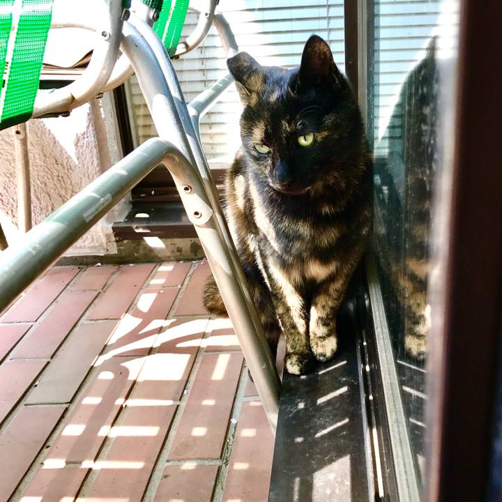 95b7543c 3a92 417c ad90 aeca4f36f38a