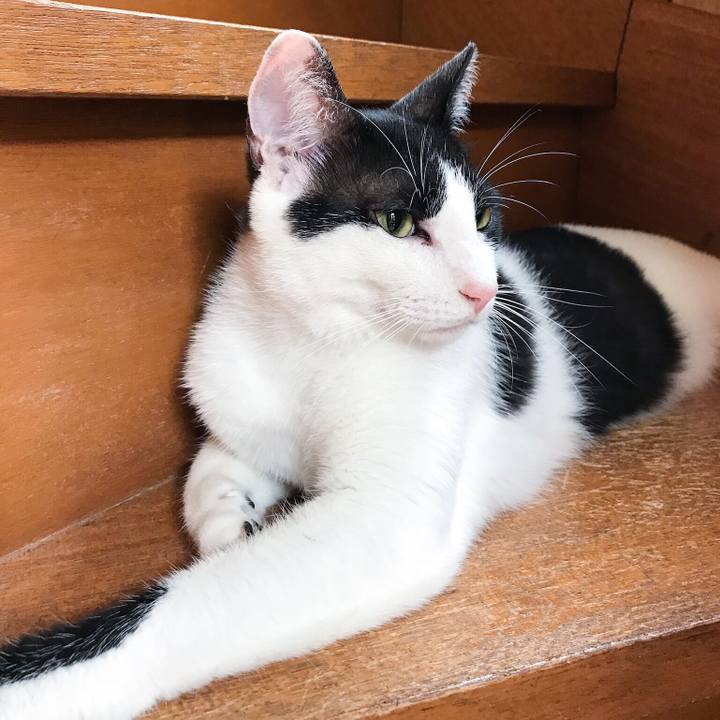 95b7a2b3 46dc 4a79 9ce2 9d0dc967d0f6