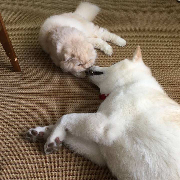 95b83957 2d02 41a7 8a17 91707eb8878f