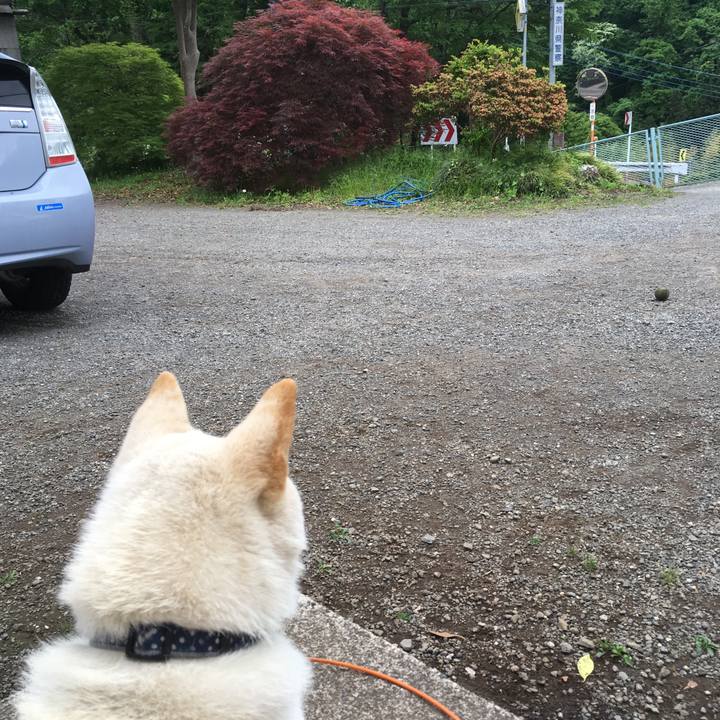 95b83b6b 6add 4a00 8fb2 53ae14305fd1