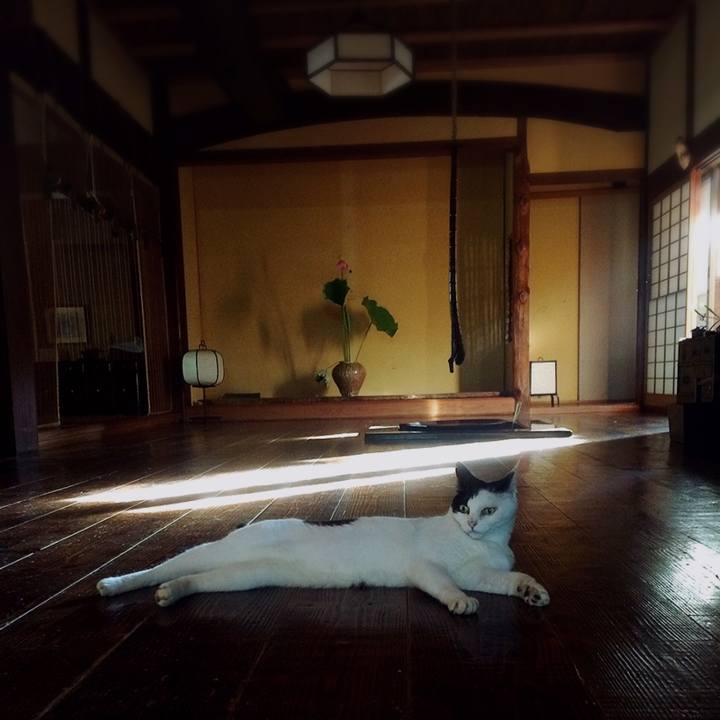 95b8d04b aa67 417a b2fe 8afee0fe2b3c