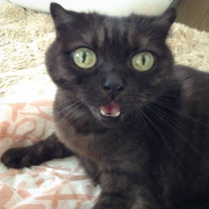 95b96e65 9204 4731 9741 ea1bc67e6233