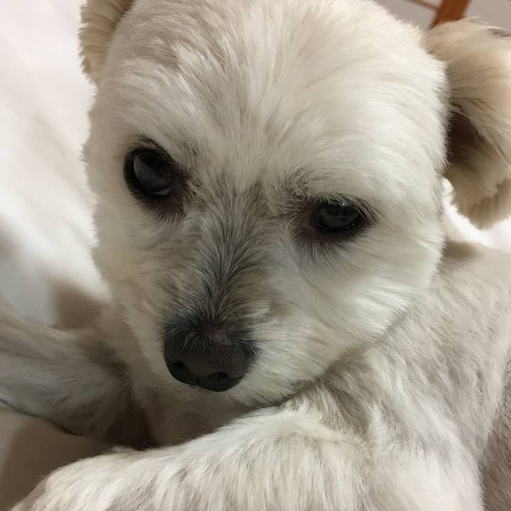 95bbd72b f009 46f6 954b eb57b81b85a8