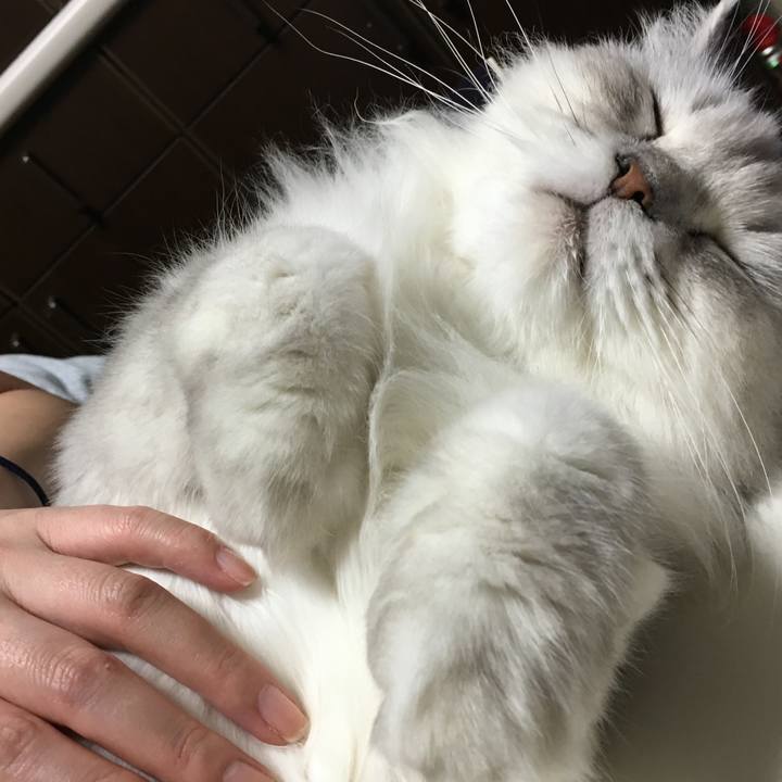 95bc1a3b 4a48 40d8 aa29 095385242228