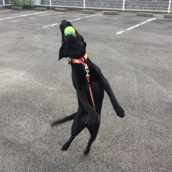 95bc1faa 083b 4a38 925c 1bc45252c245