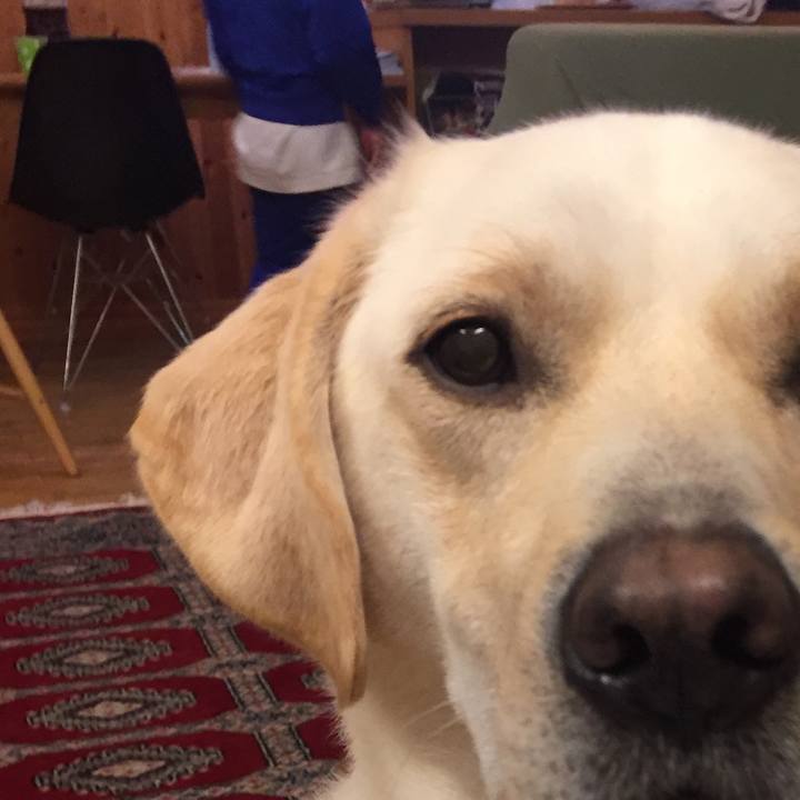 95bd06d6 f50d 4d3d a579 469f8c3cc490