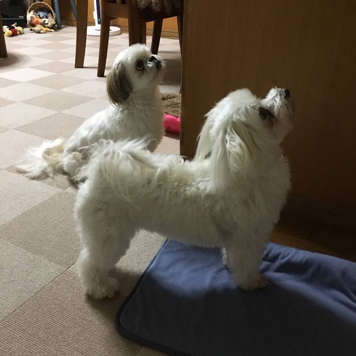 95bd090a 5dcd 494a b18a 9039219afd93