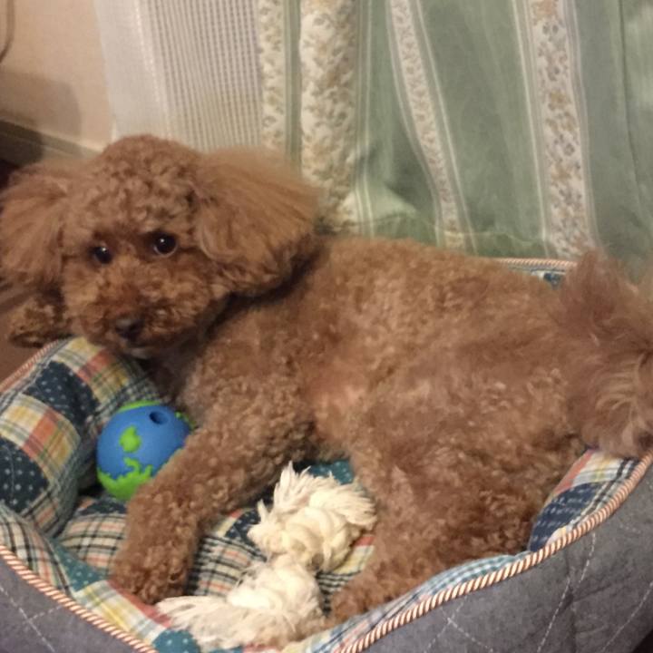 95bdc859 771e 4707 8782 bf022520cea5