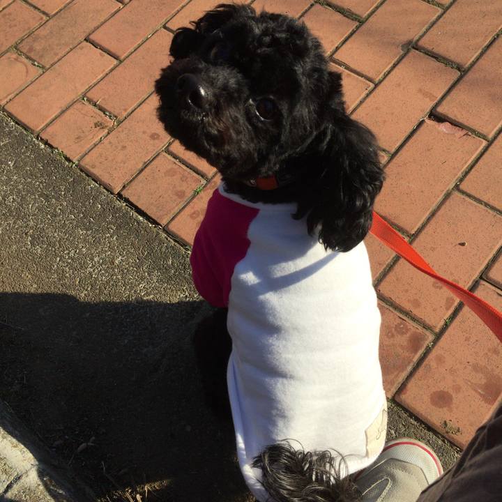 95be3805 8b72 4940 8e25 957273e98d0a