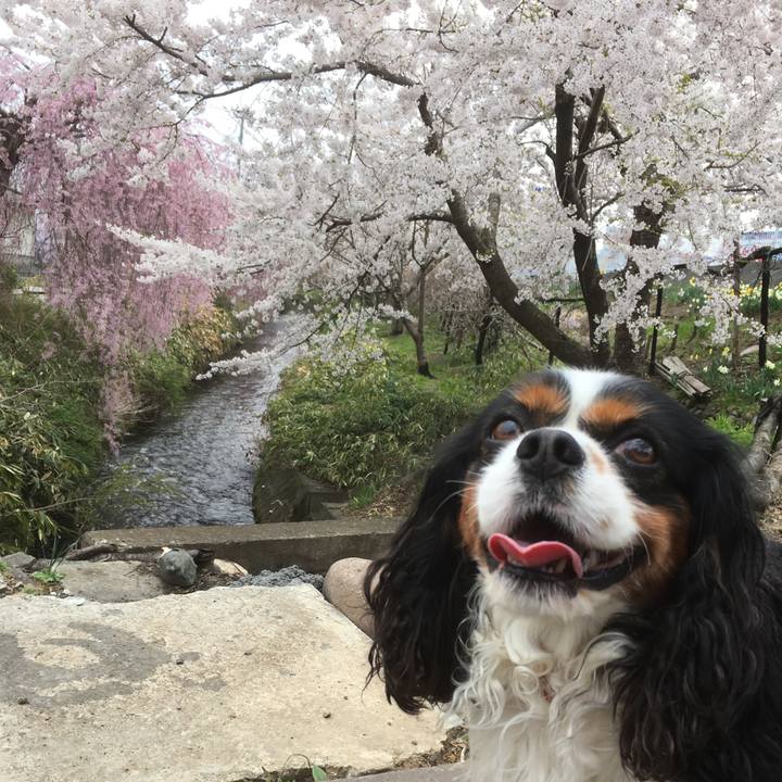 95be3faa c600 4e21 a329 dde4badcefe5