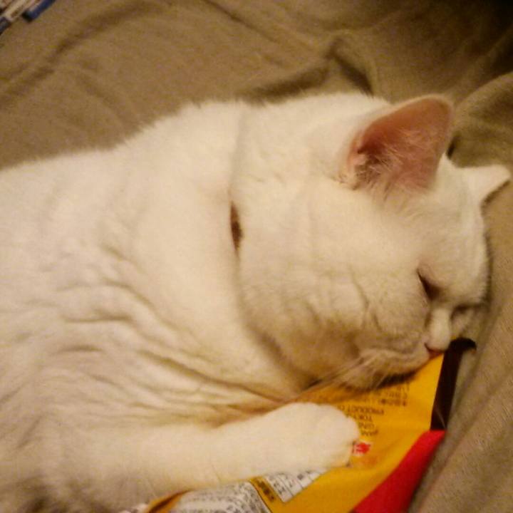 95be4e94 218b 4aee 8987 353307ee6d29