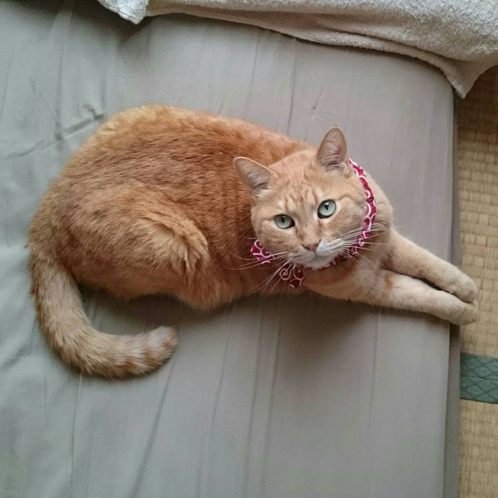 95be60ab 236a 4bca b4a4 a2a7f2c4e022