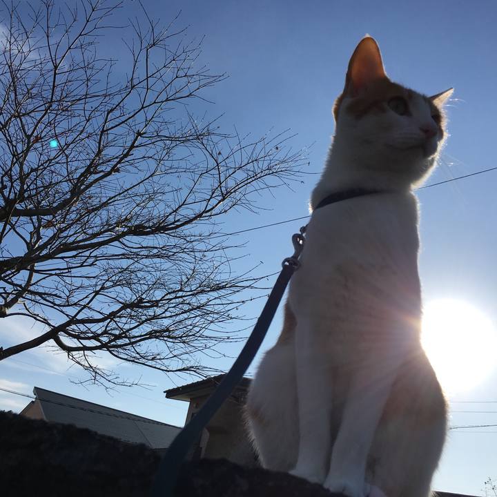 95bee1eb d232 43d2 b431 f17e71fa0d3e