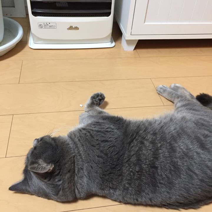 95bf48a9 4568 43ef b44c aa7d02c72121