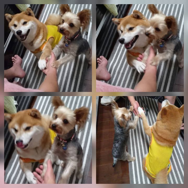 95bf8761 0750 4b40 9132 ddfc1361ead3