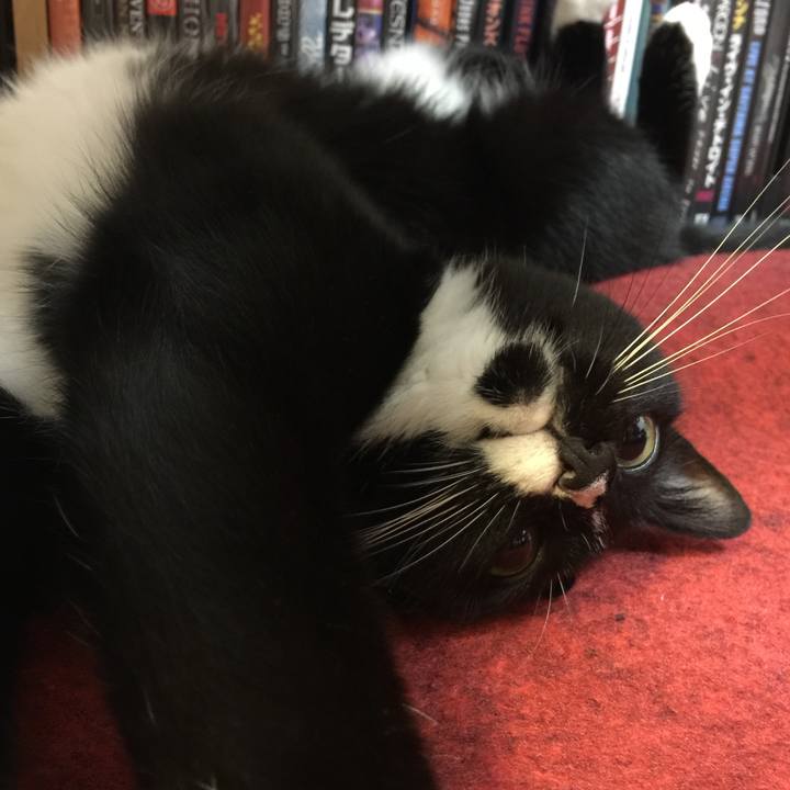 95bfdd70 28d7 44fa 94b5 c10341a7773d