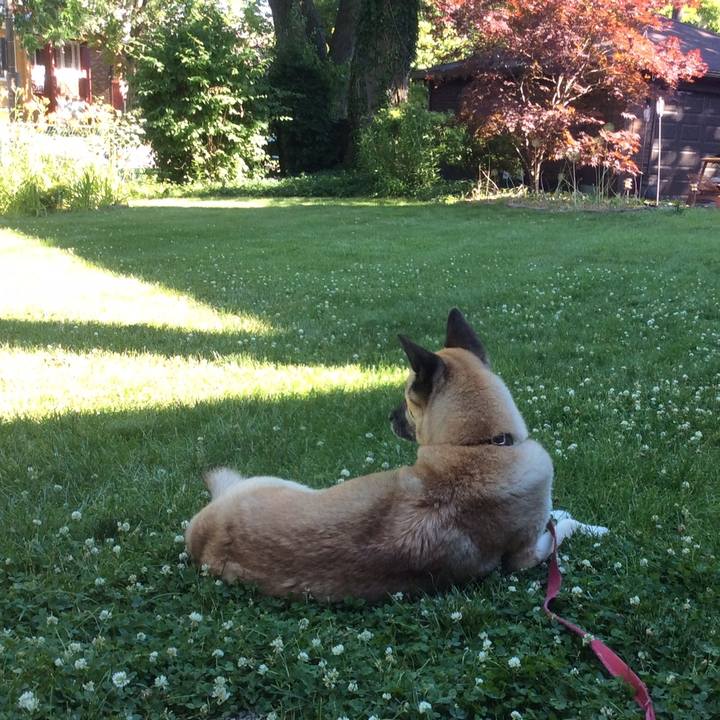 95bfdeeb af06 4154 b0e7 0d632bbb6312