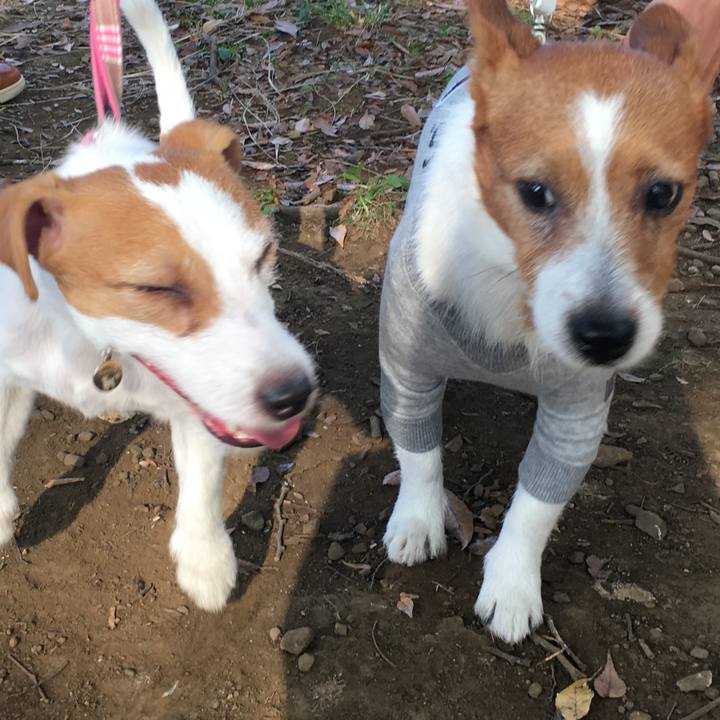 95c119fe 68e7 43d1 b48e 959d75b63019