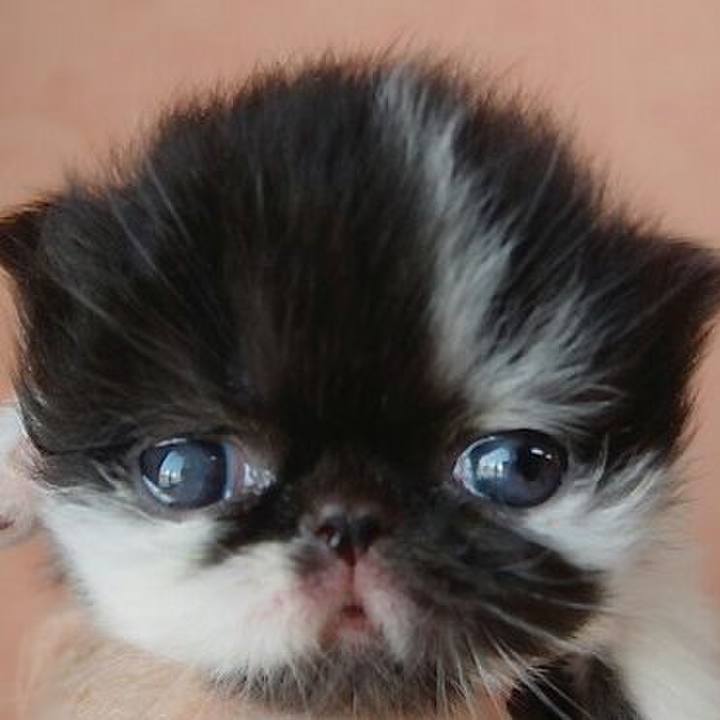 95c16272 288d 47e7 82e6 30c899693e29