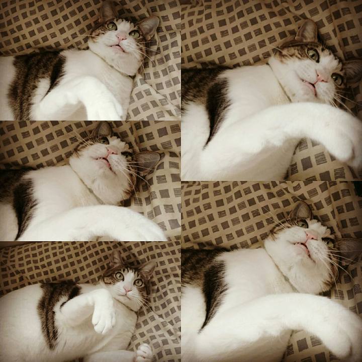 95c1bd19 f897 4426 88c5 c04ba0d8a00f