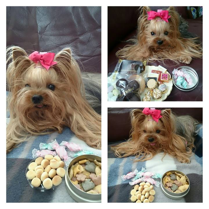 95c20523 e1c4 4533 9d8e 98c751e057bf