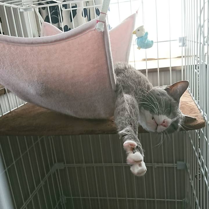 95c23b76 56ca 4361 a55d aef2e1fefcec