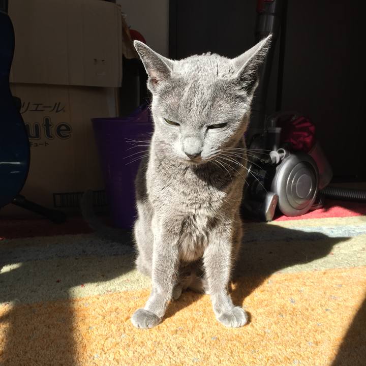 95c2578f c476 411b a4e1 166b07063275