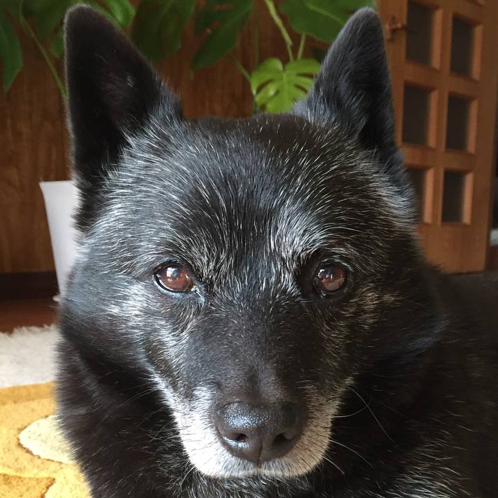 95c25972 d60c 4e2d 8b8b a3d29ab8c0ff