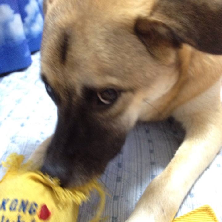 95c318f9 3d5c 46f3 9440 f8cf4af97f8c