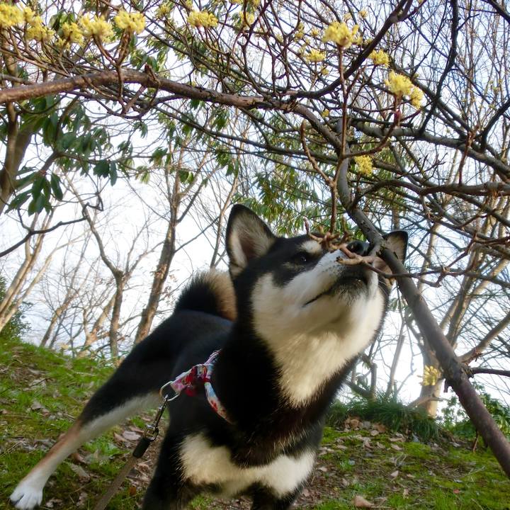 95c3631e 2b81 46aa a212 1264be71ac11