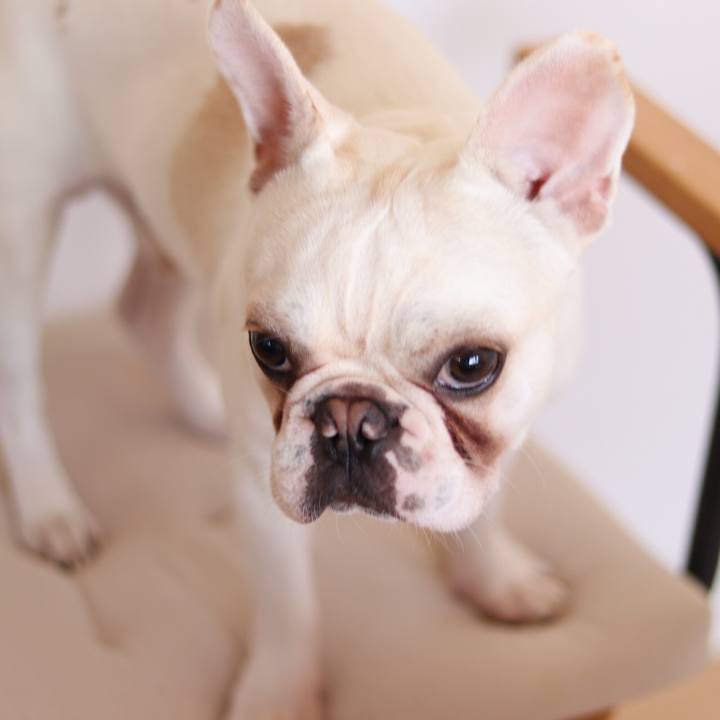 95c3b618 b5a2 4925 8a71 db779260d18d