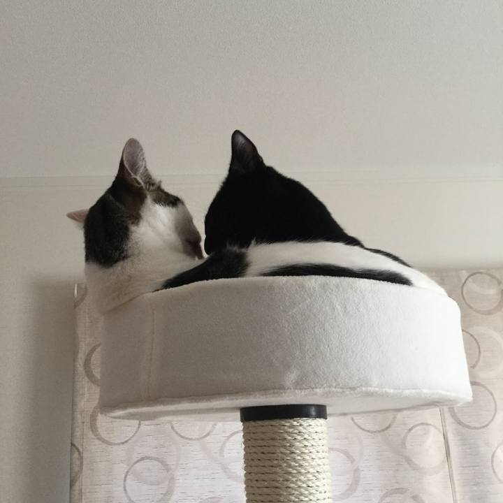 95c56654 3b8a 4371 b7db 9e7cb680c0ef