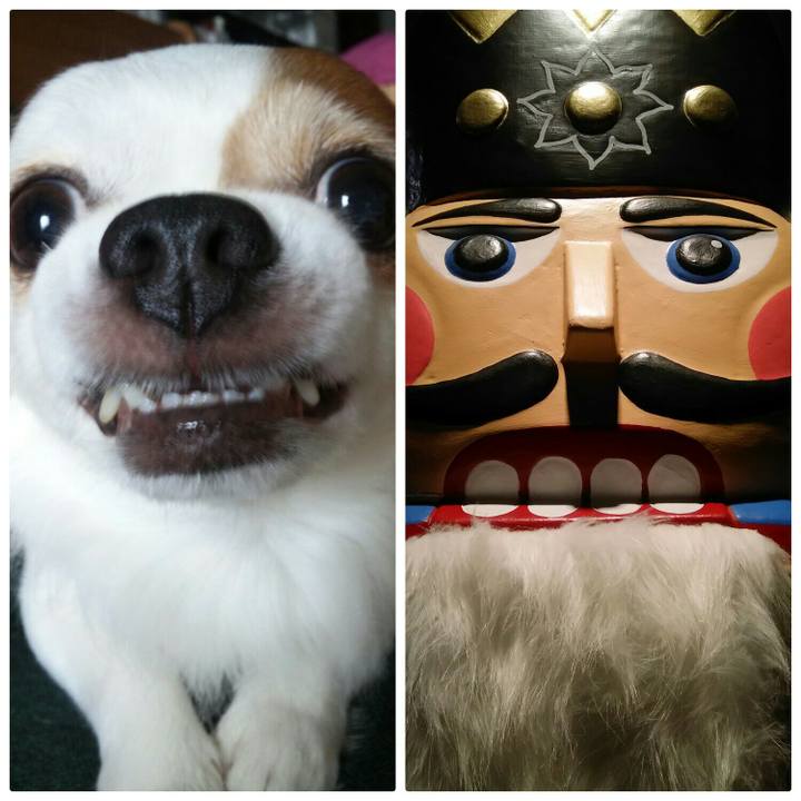 95c71ffd 73bd 430d 8ef1 d4c6482426fd