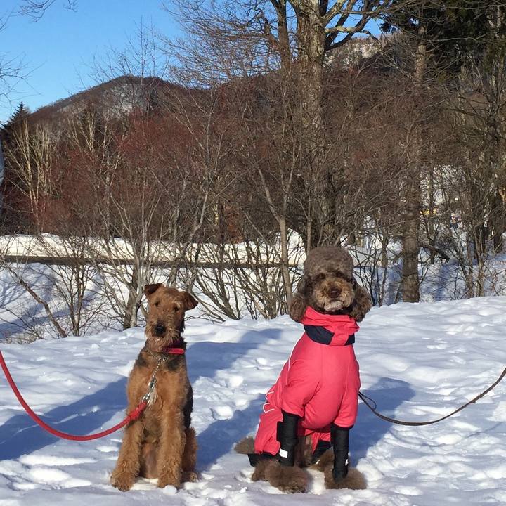 95c7defc bf31 4b7c bf99 26bef021706b