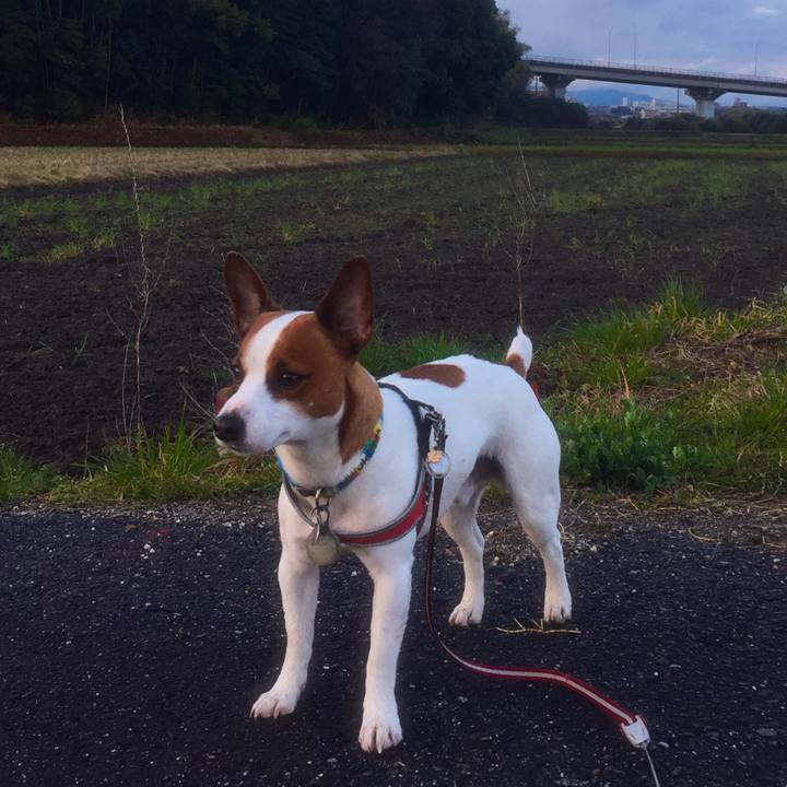 95c7e1a0 43ca 43c9 bcd0 2a72f5c45581