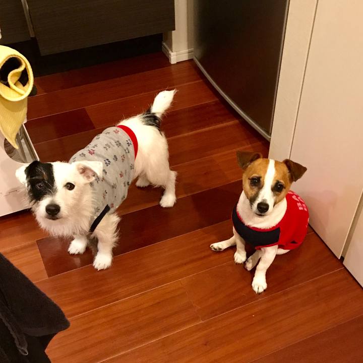 95c863ec a502 4447 b67c 8ecbdb1bfe87