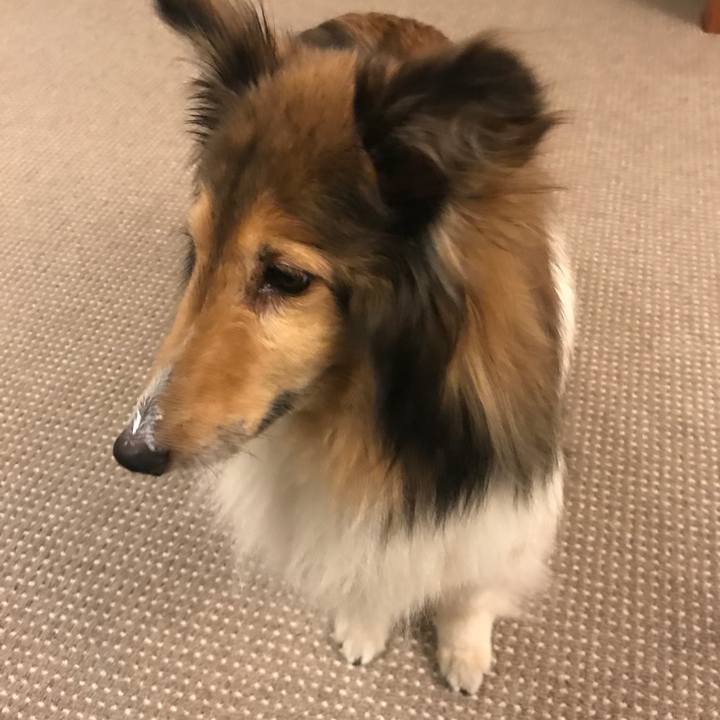 95c89433 7aec 4f3d abb4 9add3ebc9359