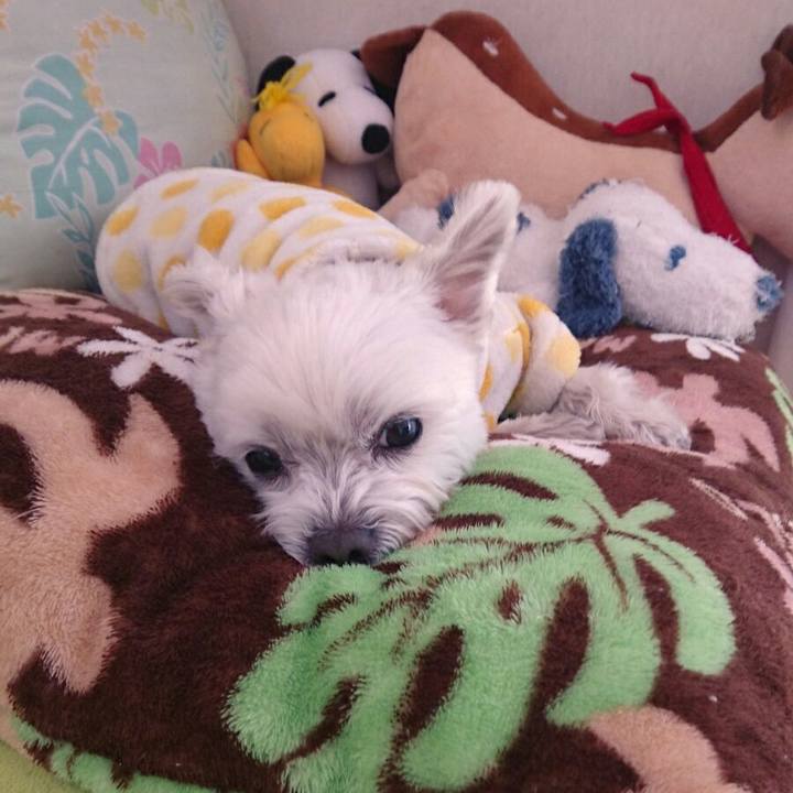 95c8c43b 9c30 453e 94a0 904eeb594598