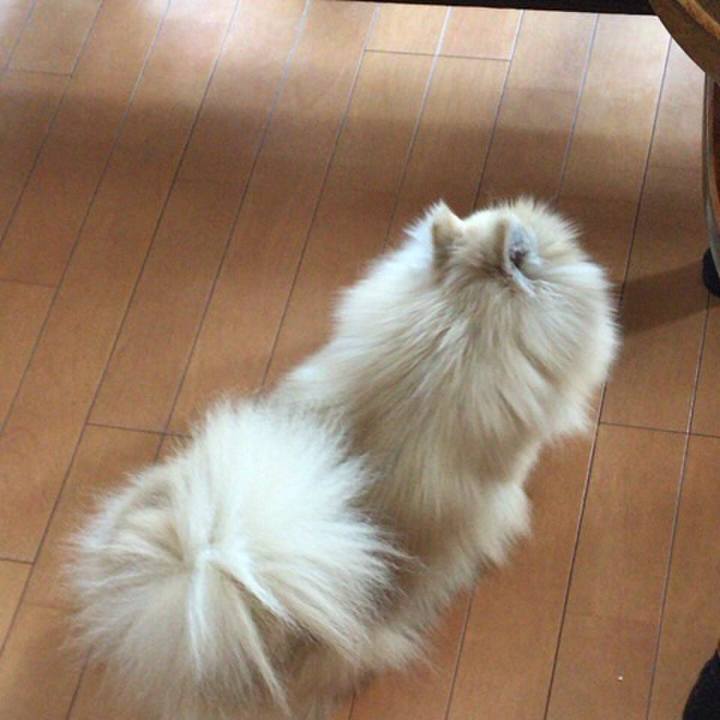 95c8e4b3 7db7 48e4 8bb7 bbb15fdbe97a